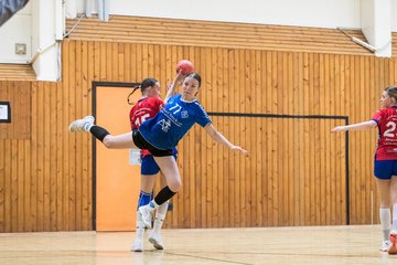 Bild 73 - wBJ TSV Ellerau - HSG Schue/We/Re : Ergebnis: 23:15